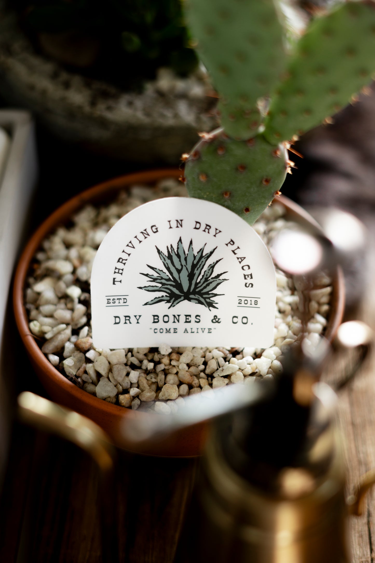 Dry Places | Sticker